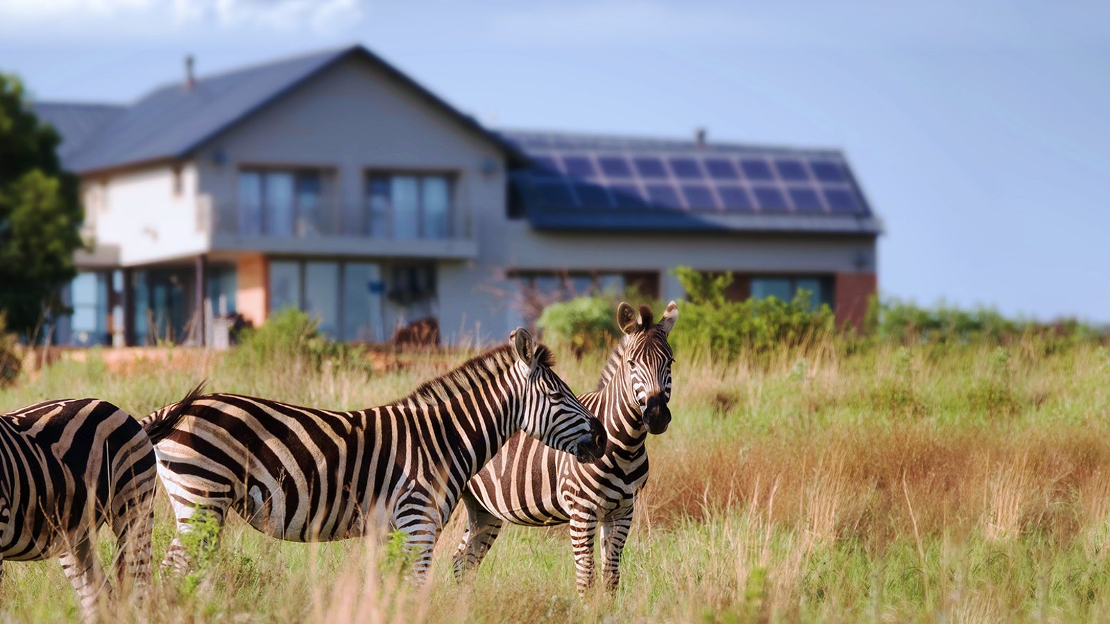 The Hills Game Reserve Lifestyle Estate, Pretoria